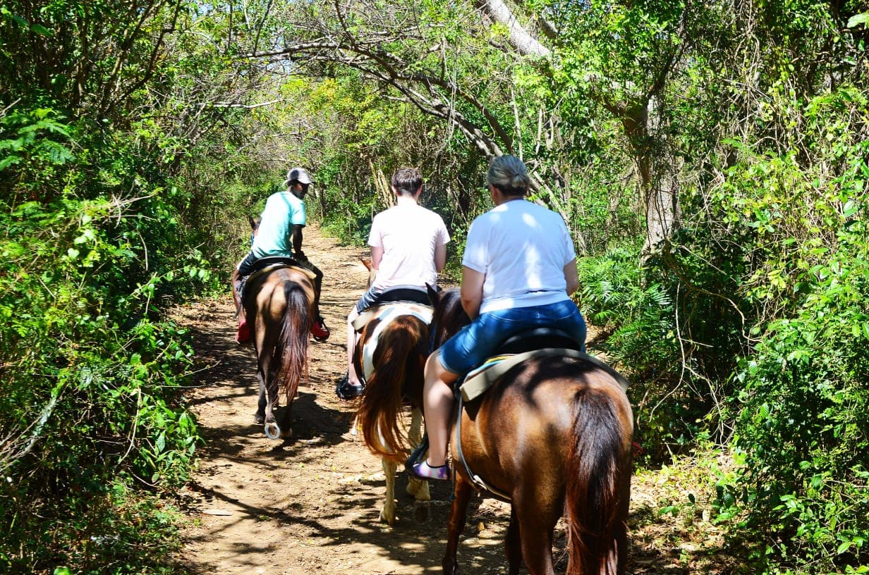 Guided travel through tropical Dominican scenery