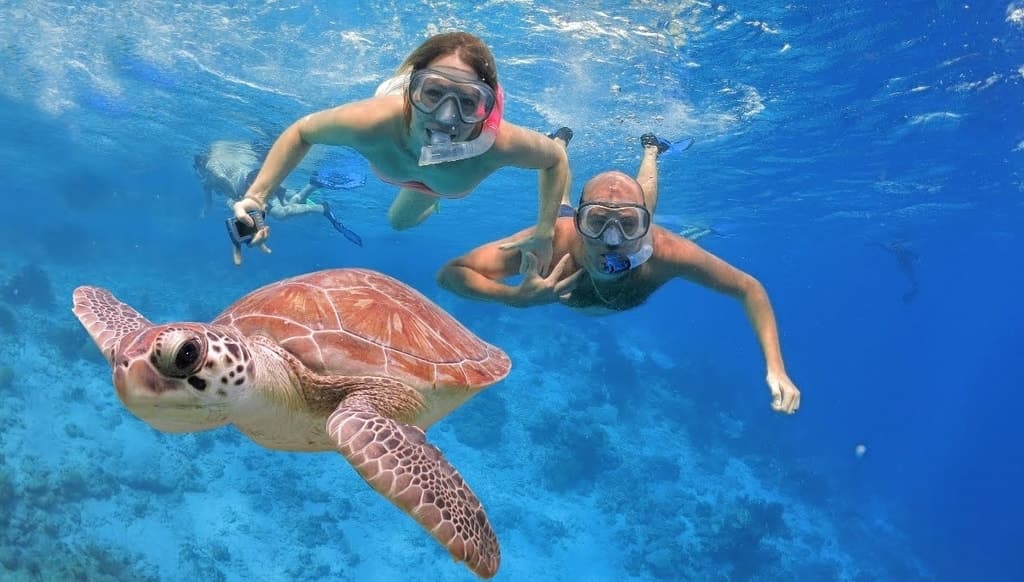 Clear underwater scenery near a Caribbean reef